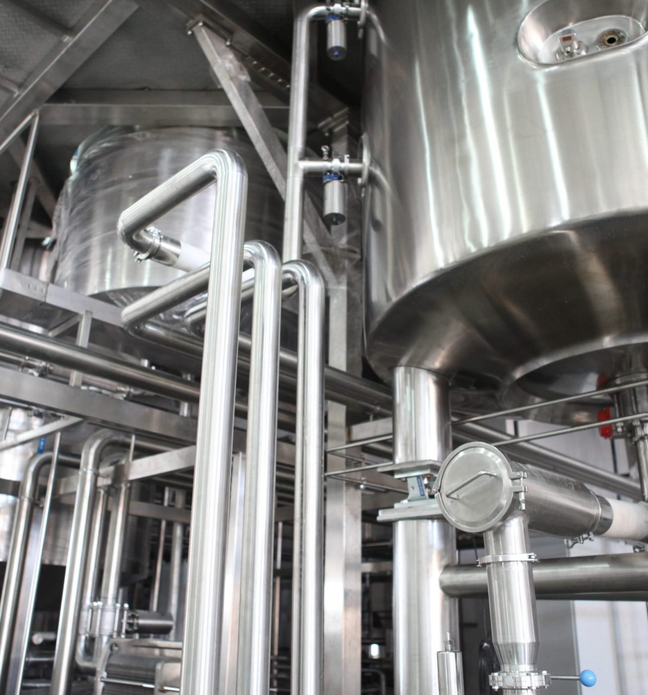 crystal-kwok-xD5SWy7hMbw-unsplash